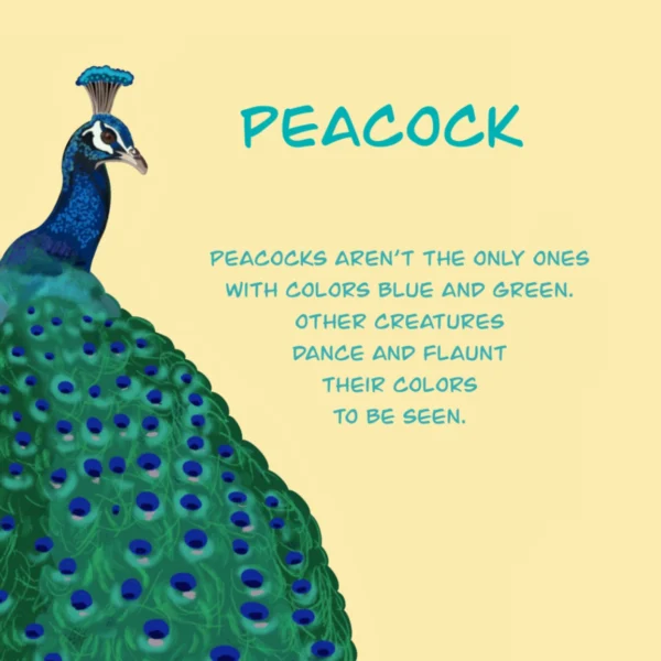 Peacocks Aren’t The Only Ones - Image 2